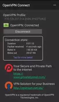 Open VPN free browsing