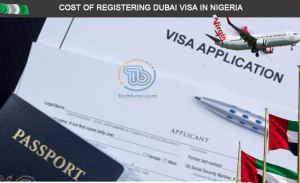 Dubai Visa fees in Nigeria