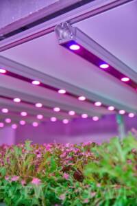 types of vertical farming led light 