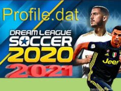 profile dat file download for dls game