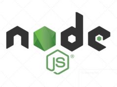 What Skills Does a Node JS Developer Need to Have