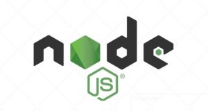 What Skills Does a Node JS Developer Need to Have
